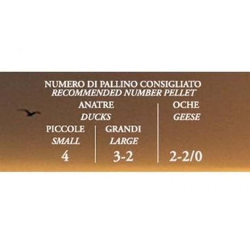 Baschieri & Pellagri Valle Steel 32 EV