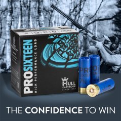 Hull Pro Sixteen