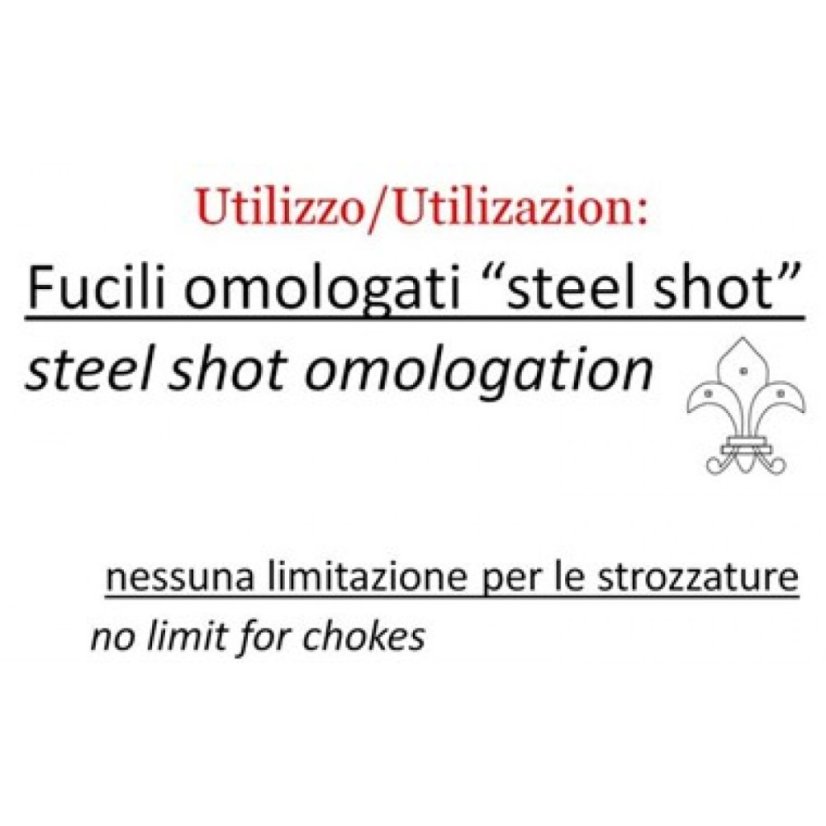 Baschieri & Pellagri Dual Shock