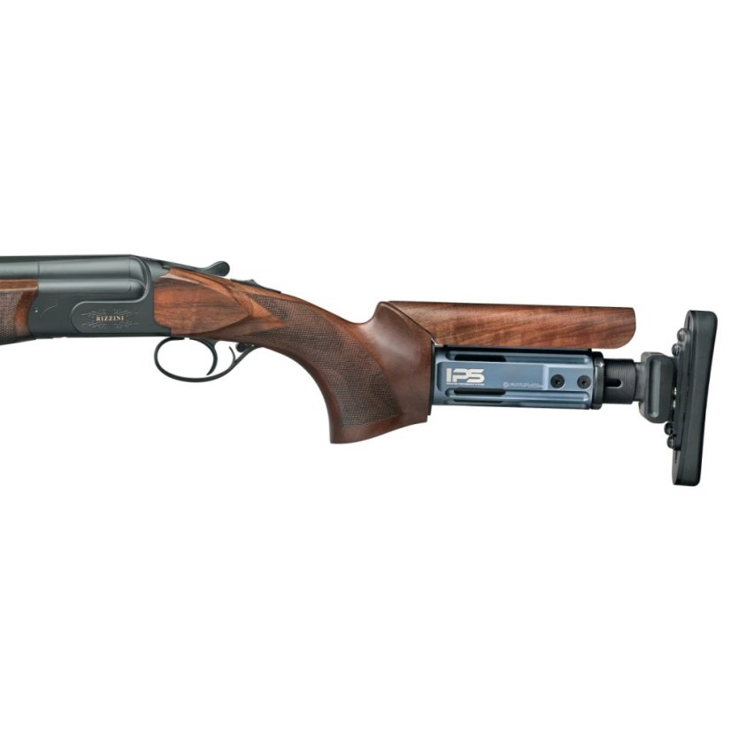 Rizzini - IPS - system
